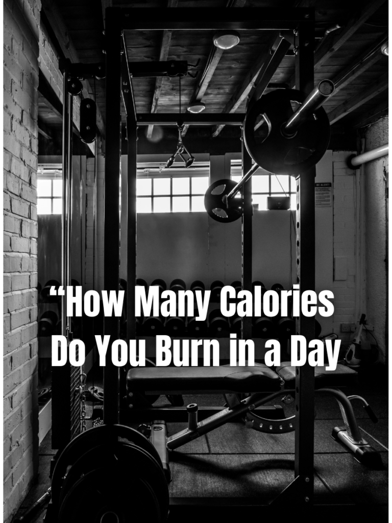 How Many Calories Do You Burn in a Day